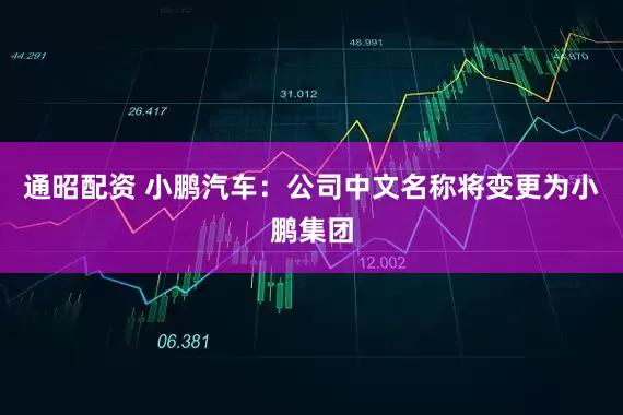 通昭配资 小鹏汽车:公司中文名称将变更为小鹏集团